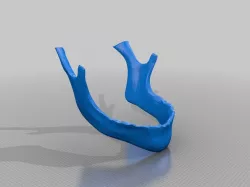 Human Skull (printable)