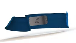 Naruto's forehead protector