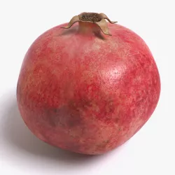 Pomegranate 3D model