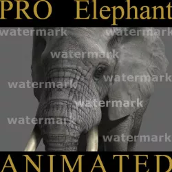 PRO Elephant Animated - 3d model 3D model