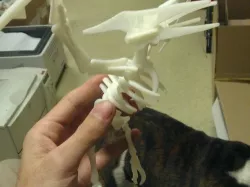 Pteradon dino