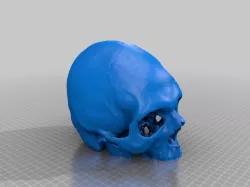 Skulp