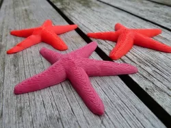 Starfish