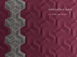 Versatile Axis 3D model