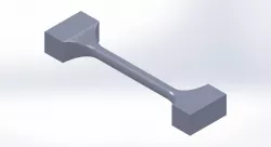 Bone
