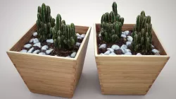 Cactus 3D model