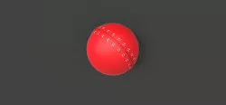 cricket ball 