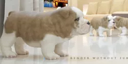 DOG puppy 3D model