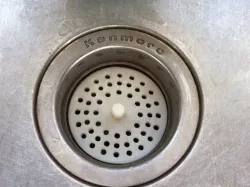 Drain screen for garbage disposal