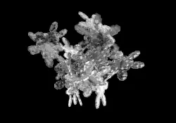 Flocon de neige / Snow flake