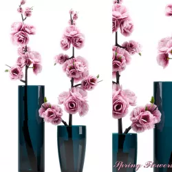 FLOWER  SPRING FLOWERS 3D model