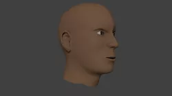 Human basic complete male head 3D model