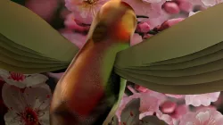 HummingBird 3D model