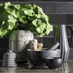 Kitchen Decoration Set 3D model