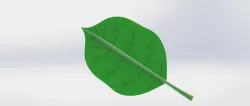 leaf