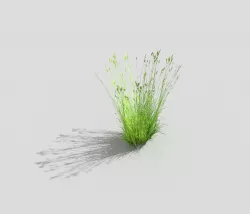 low poly grass Low-poly  3D model
