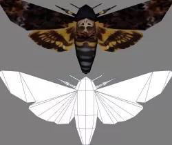 Low-Poly Hand-Painted Death Head HawkMoth Low-poly  3D model