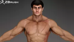 Muscular Male Character Low-poly  3D model