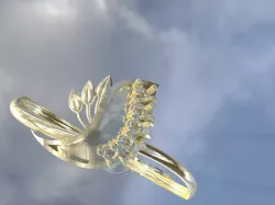 ring . . . .