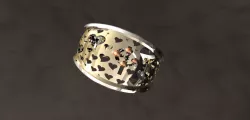 ring with cross