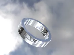 silver ring . . .