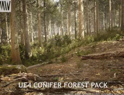 UE4 - CONIFER FOREST PACK Low-poly  3D model