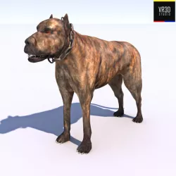 Vicious Dog 3D model