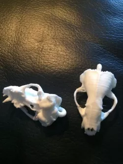 American Badger Skull Pendant