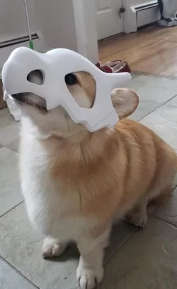 Cubone Dog Mask