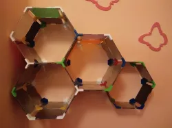 Hexa Honeycomb CD case shelf