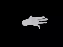Human Hand