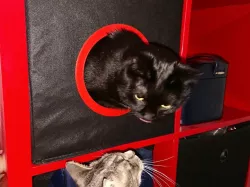IKEA Cat Box 