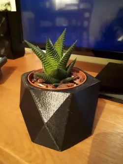 Low Poly Plant Pot