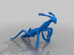 Mantis