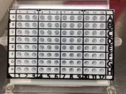 PCR qPCR Plate Loading Guide