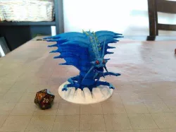 Rehorhaz
