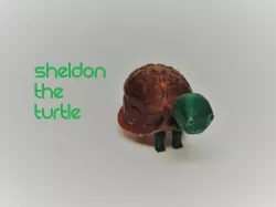 Sheldon the Turtle