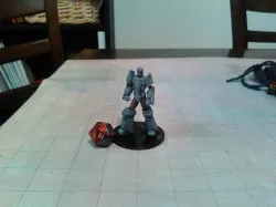 Shield Guardian
