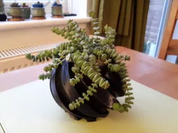 Twisted Plant Pot 