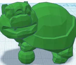 Asian Turtle