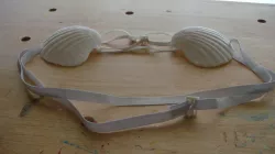 Clamshell Bra