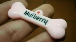 Dog bone tag generator