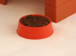 Dog bowl and food for reddadsteve's Snoopy