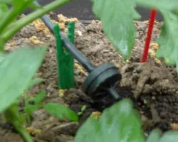 Drip Stake