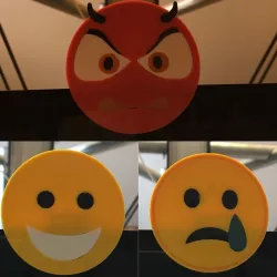 emoji cam cover