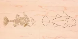 Fish zoology animal puzzle montessori for laser cut