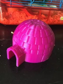 Igloo