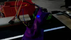 Led fox project!