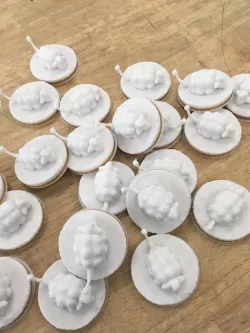 Mareep Badges