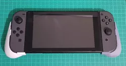 Nintendo Switch portable mode grips